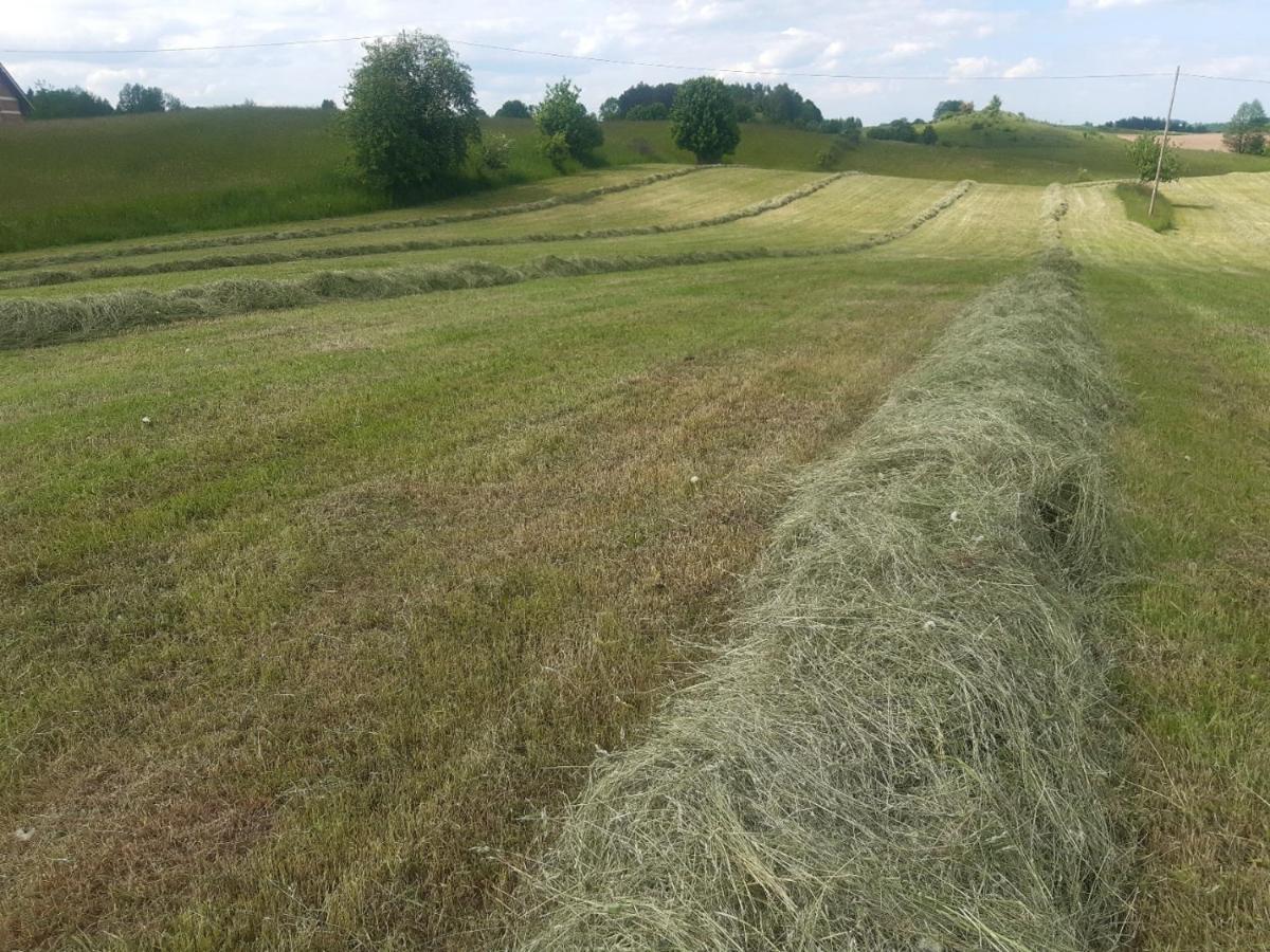 Domek W Kwiatach Zyndaki Kültér fotó
