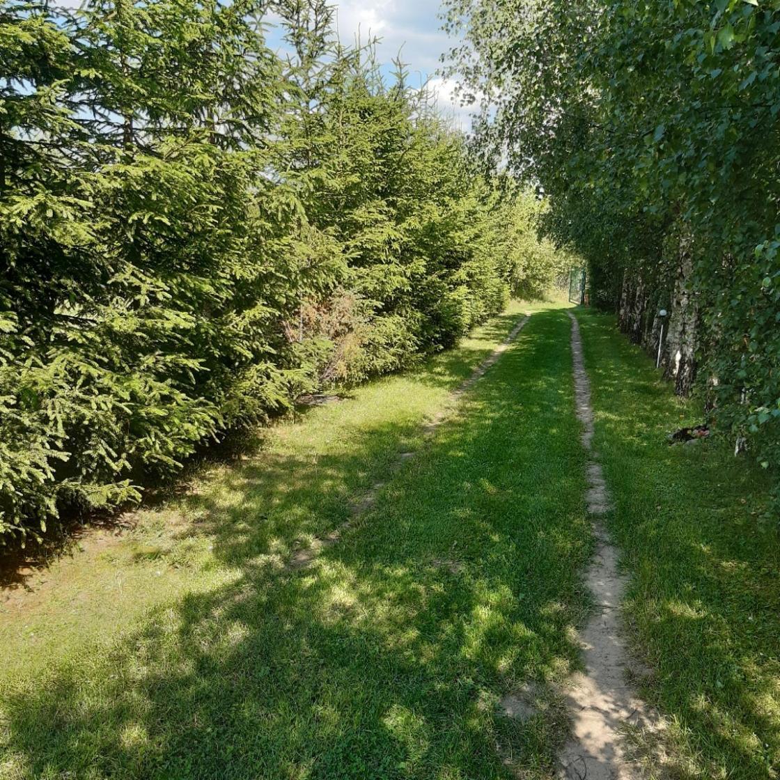 Domek W Kwiatach Zyndaki Kültér fotó